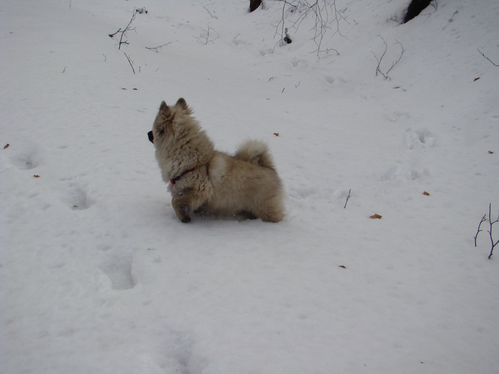 Kamenný hrb 13.1.2008