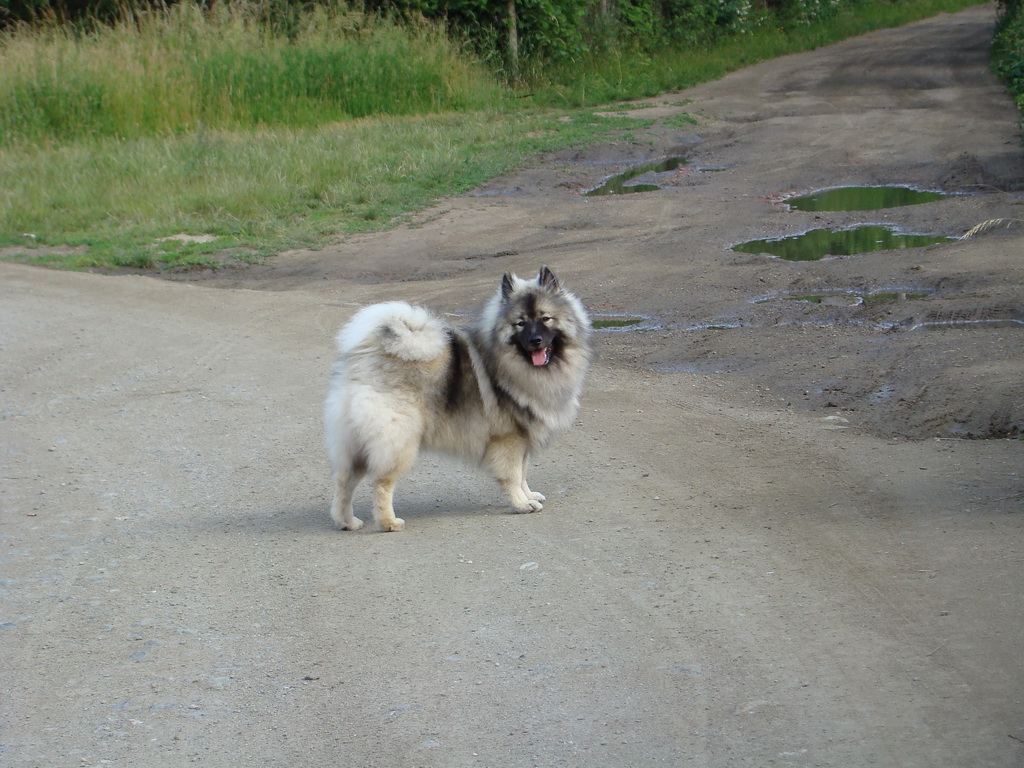 Kamenný hrb 15.06.2008