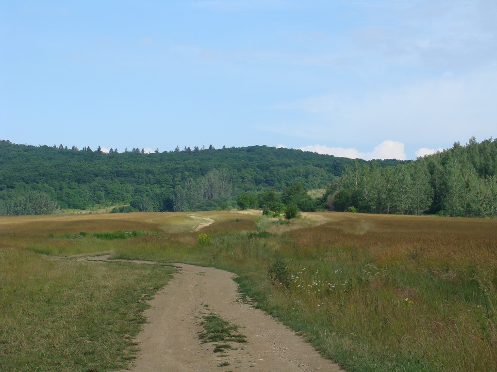 Kamenný hrb 15.06.2008