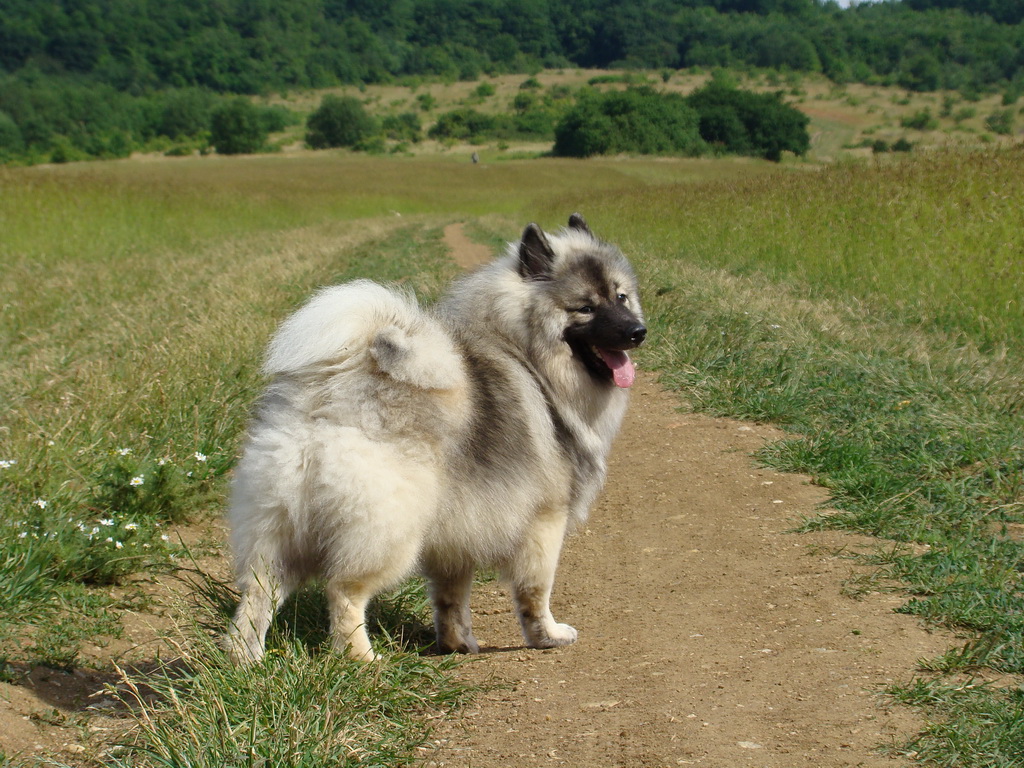 Kamenný hrb 15.06.2008