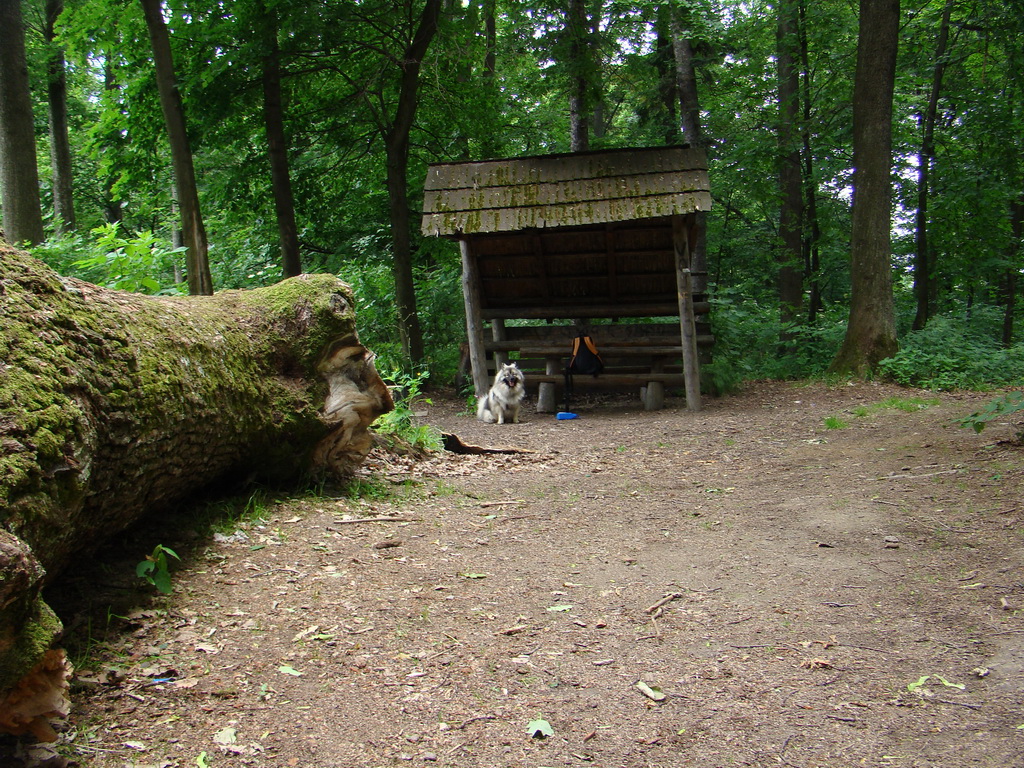 Kamenný hrb 15.06.2008