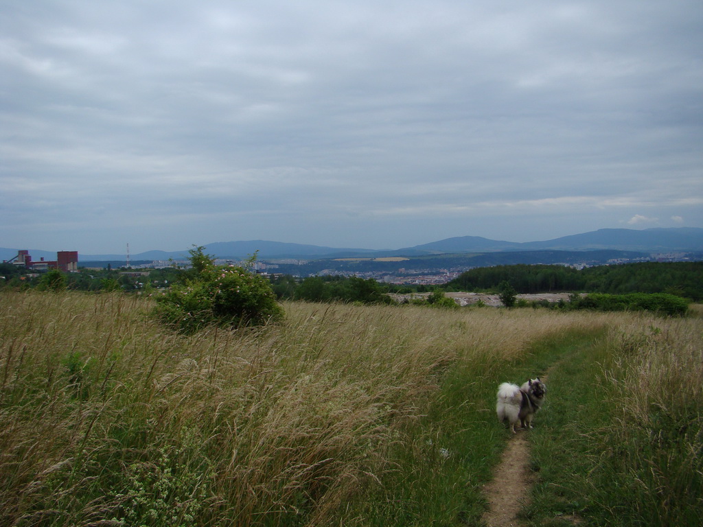 Kamenný hrb 15.06.2008