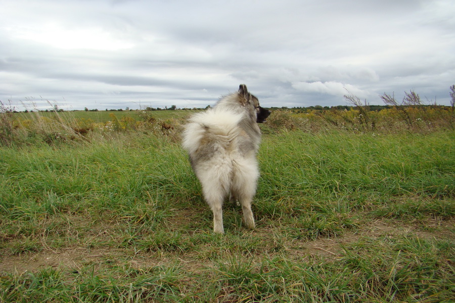 Kamenný hrb, 21.09.2008