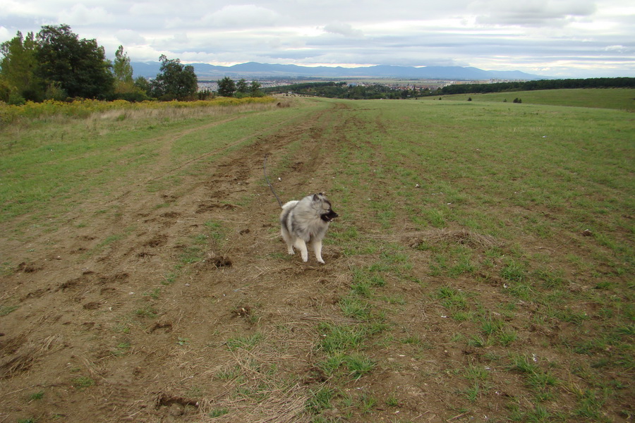 Kamenný hrb, 21.09.2008