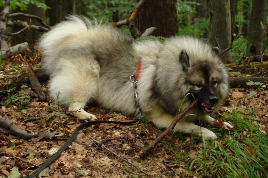 Kamenný hrb, 21.09.2008