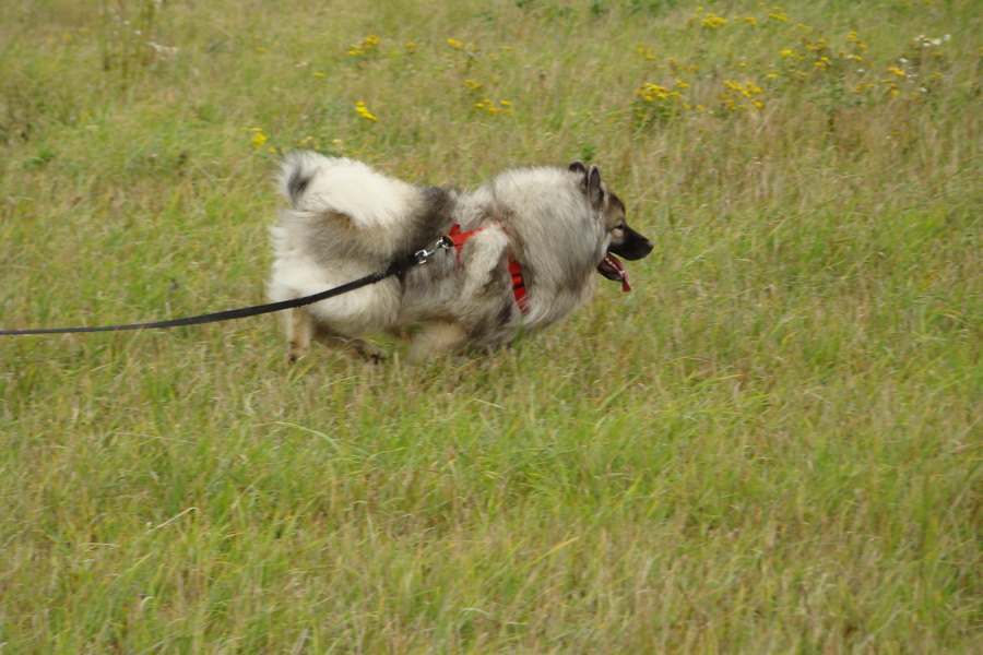 Kamenný hrb, 21.09.2008