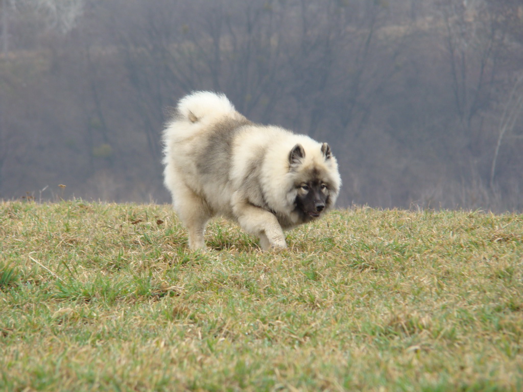 Kamenný hrb 23.03.2008