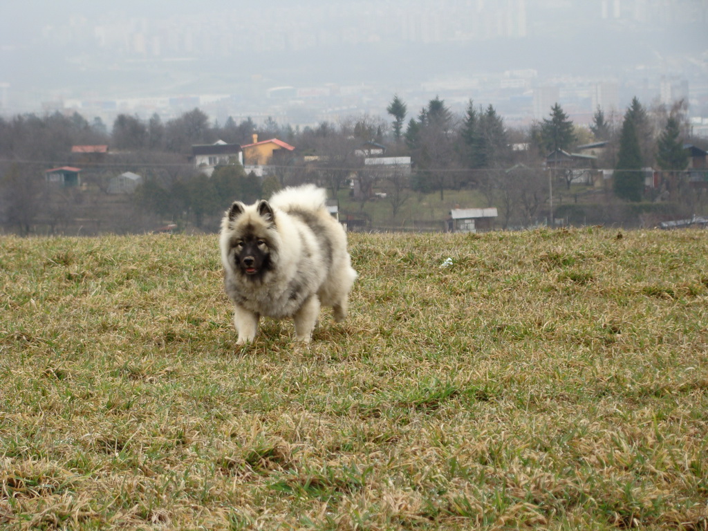 Kamenný hrb 23.03.2008