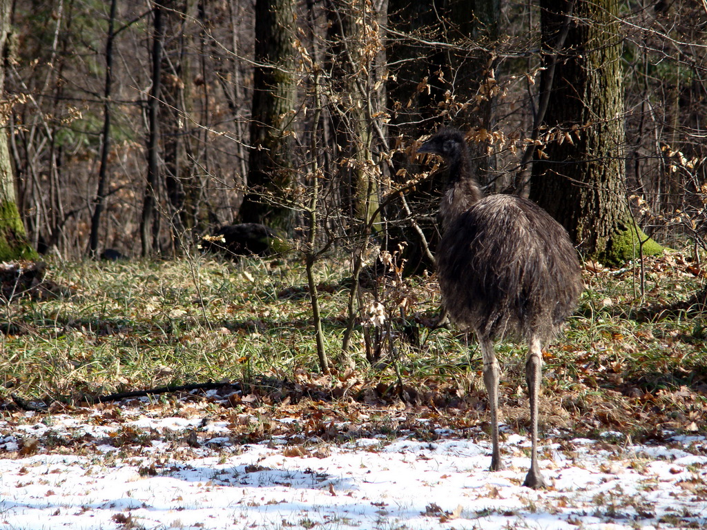 Kamenný hrb 23.03.2008