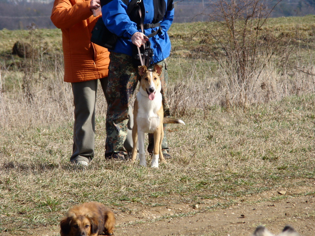 Kamenný hrb 23.03.2008