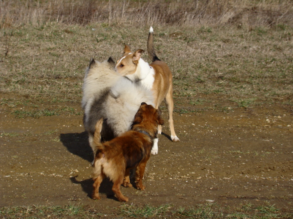 Kamenný hrb 23.03.2008