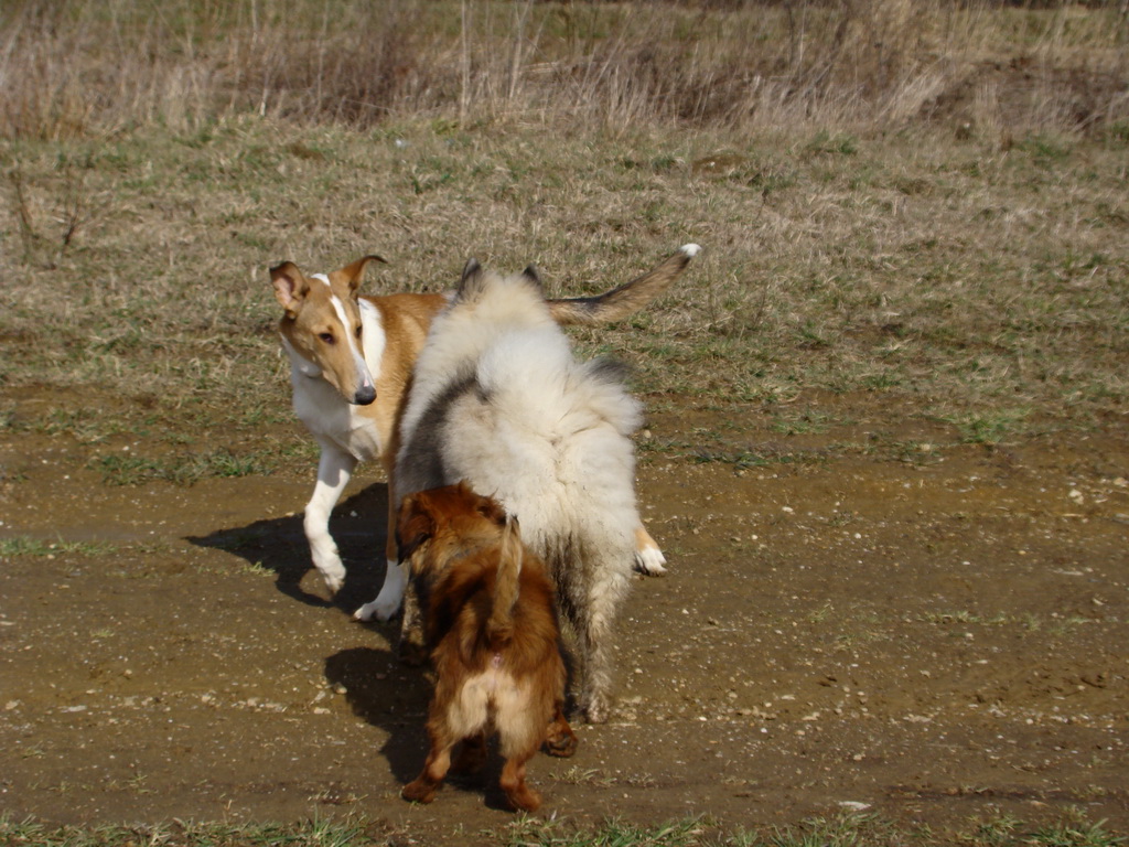 Kamenný hrb 23.03.2008