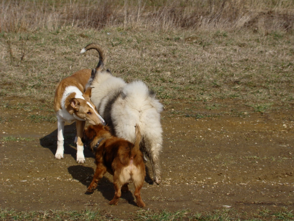 Kamenný hrb 23.03.2008