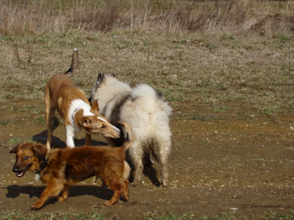 Kamenný hrb 23.03.2008