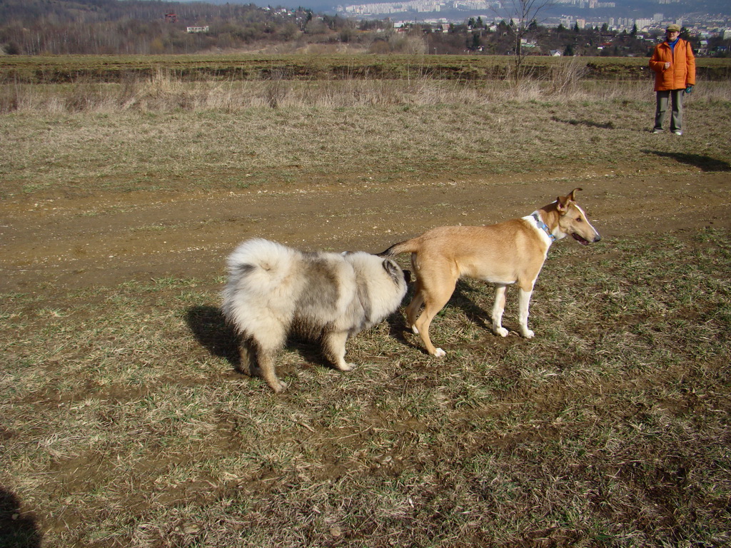 Kamenný hrb 23.03.2008