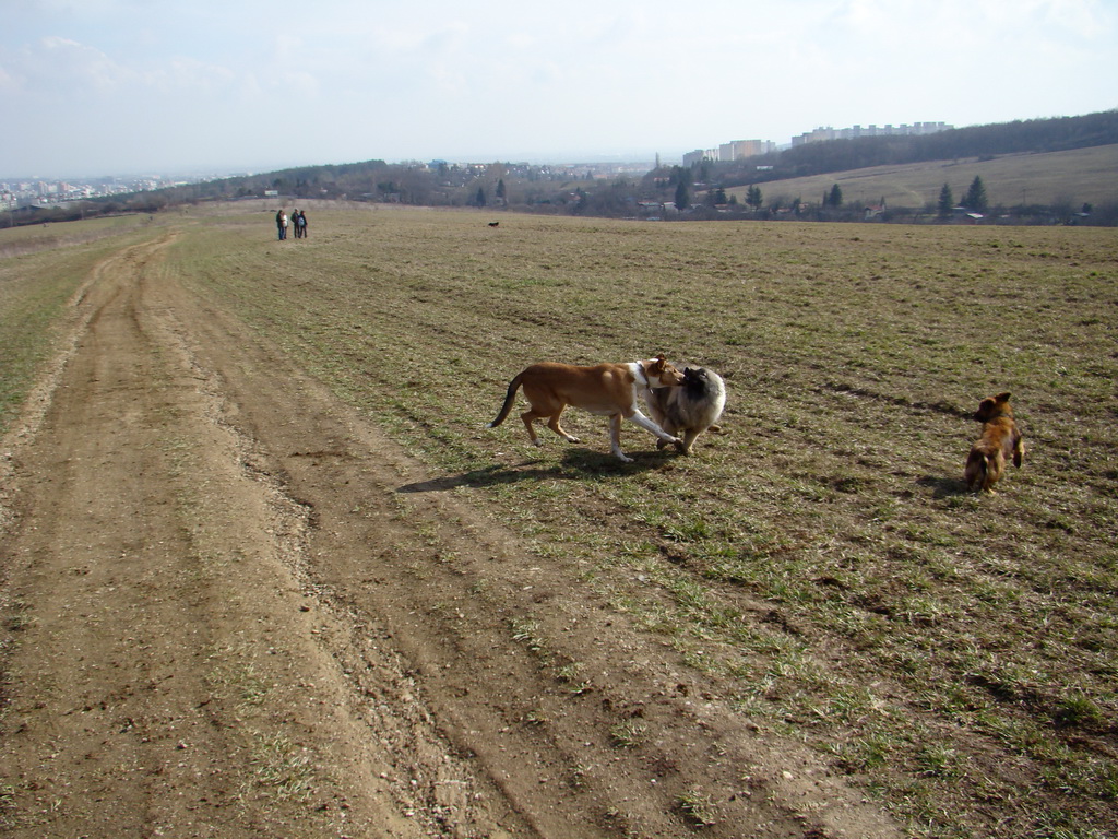 Kamenný hrb 23.03.2008