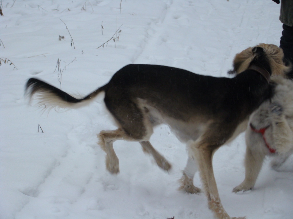 Kamenný hrb 6.1.2008