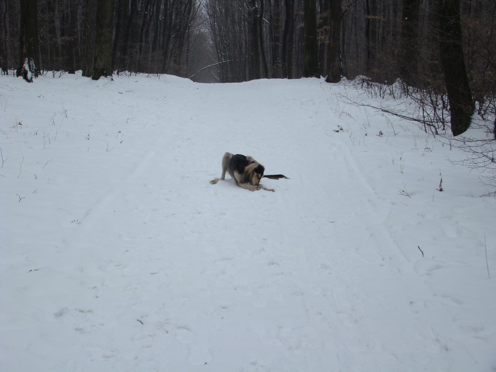 Kamenný hrb 6.1.2008