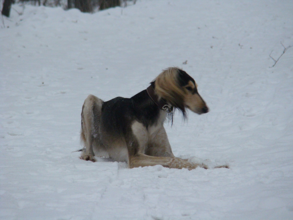 Kamenný hrb 6.1.2008