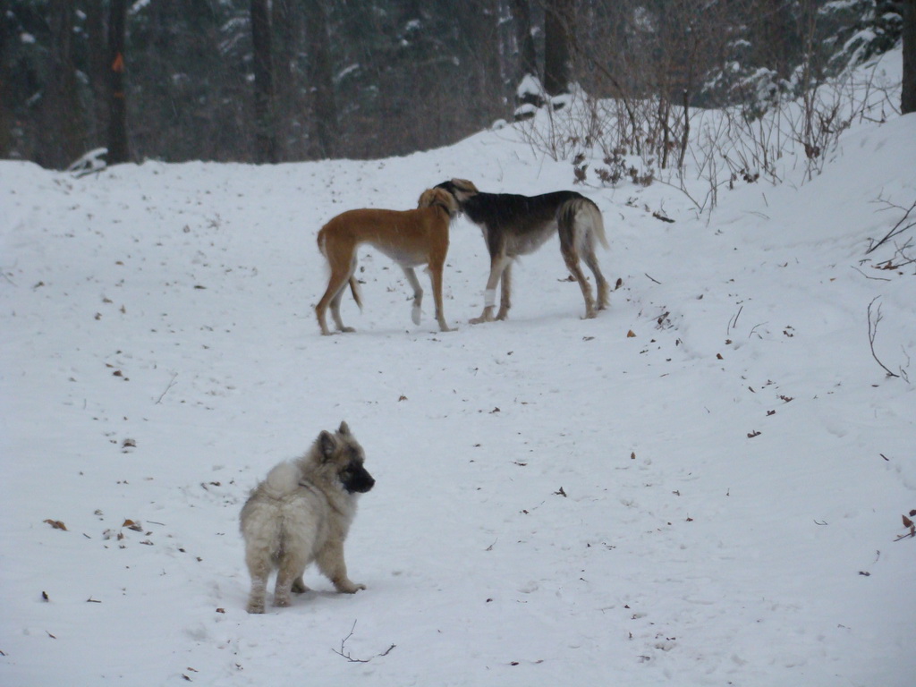 Kamenný hrb 6.1.2008