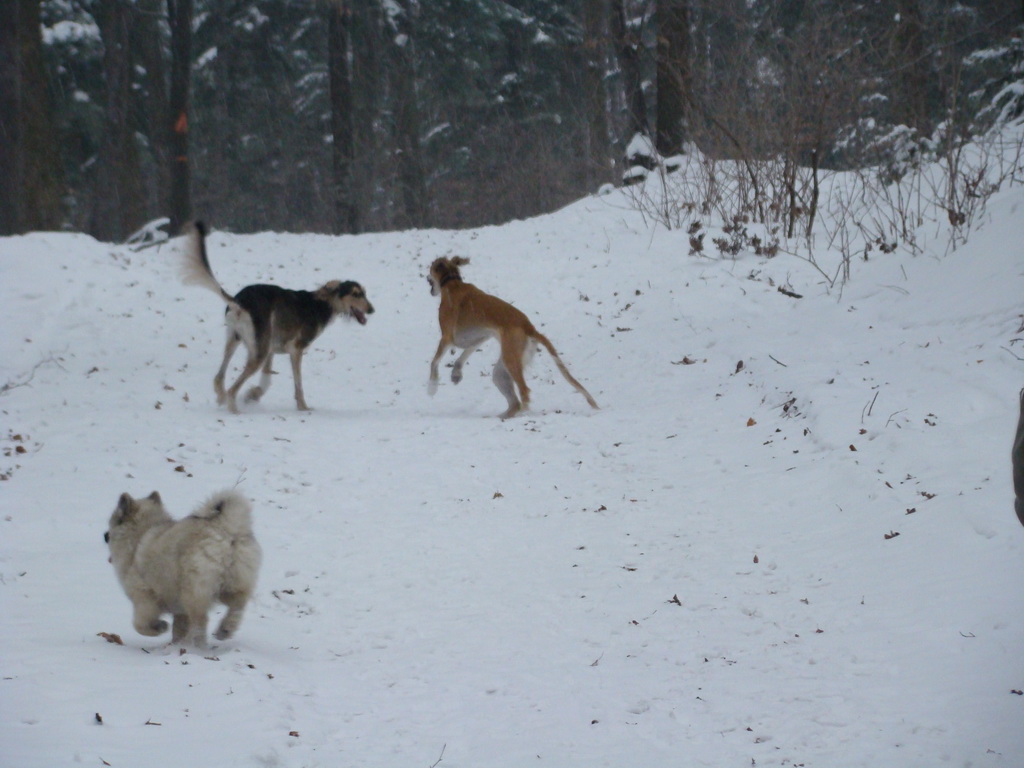 Kamenný hrb 6.1.2008