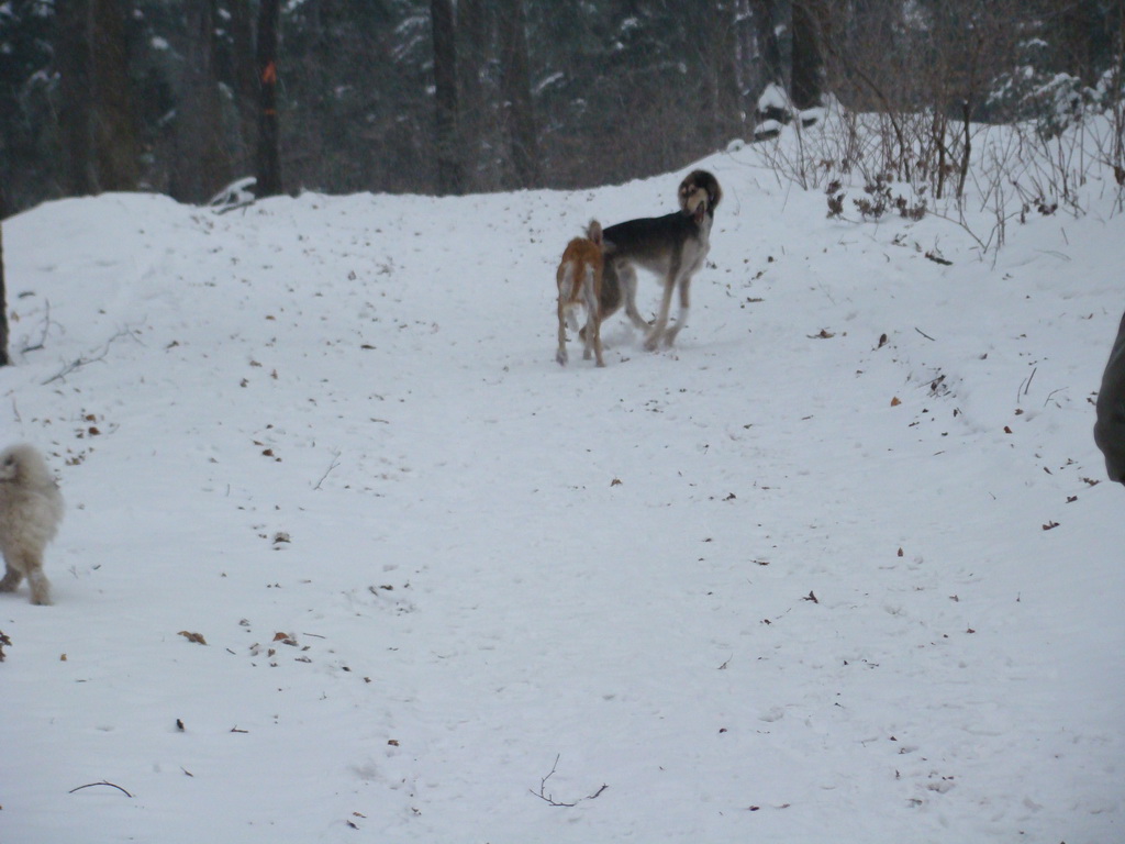 Kamenný hrb 6.1.2008