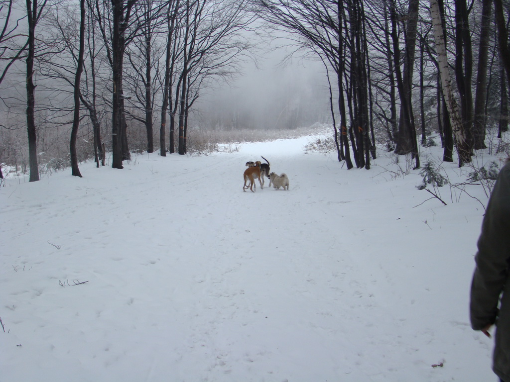 Kamenný hrb 6.1.2008