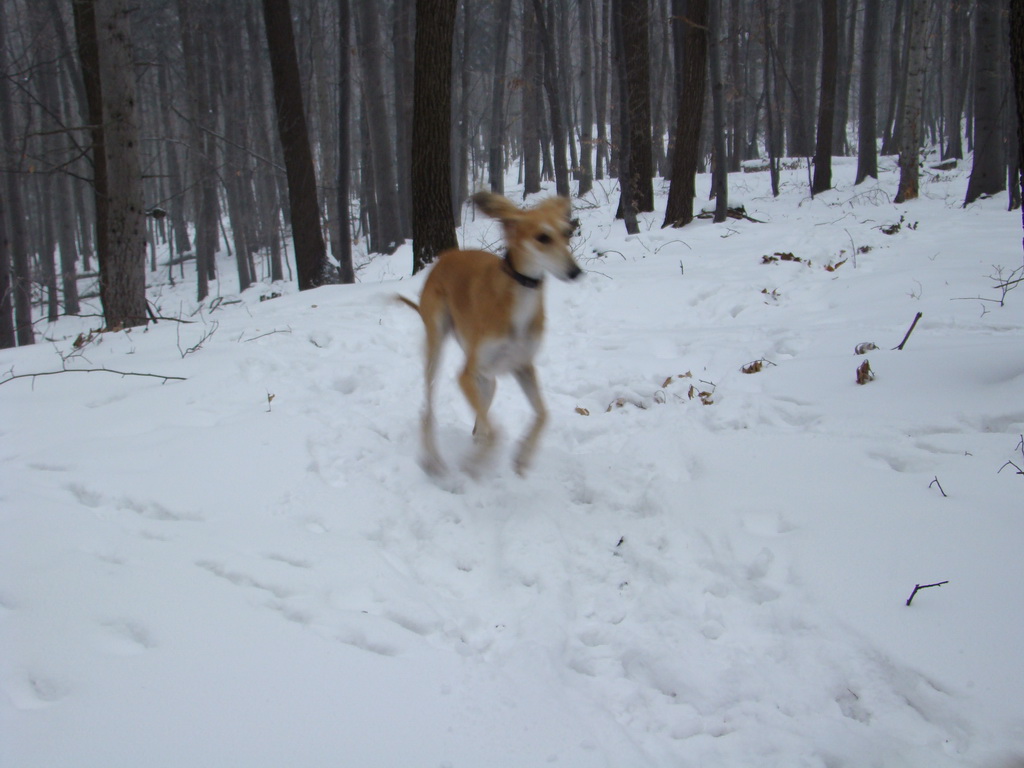 Kamenný hrb 6.1.2008