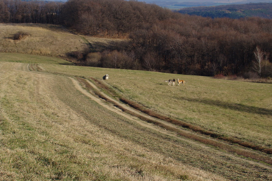 Kavečany 22.11.2008