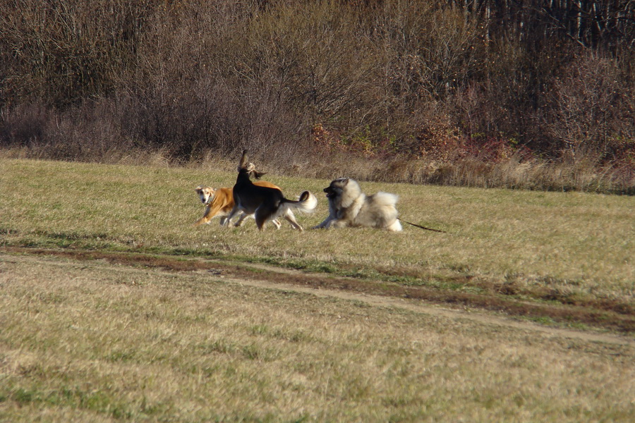 Kavečany 22.11.2008