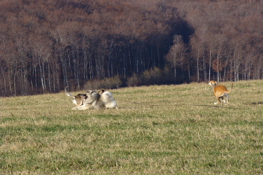 Kavečany 22.11.2008