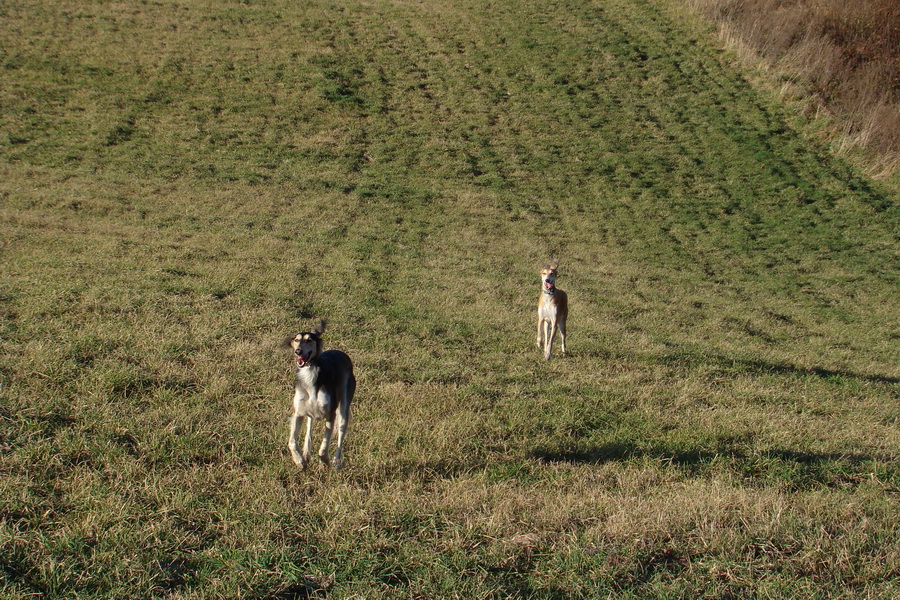 Kavečany 22.11.2008