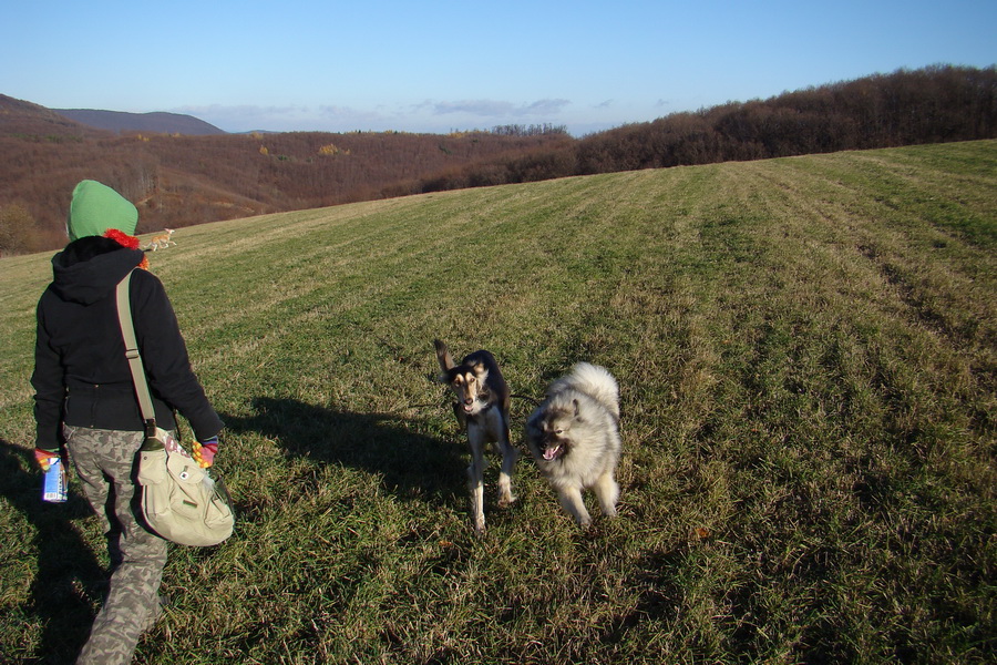 Kavečany 22.11.2008