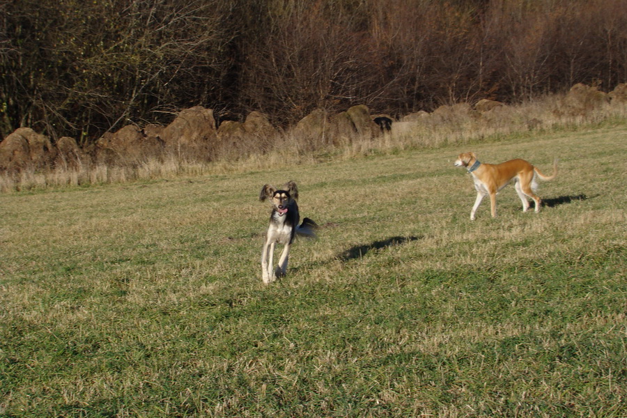 Kavečany 22.11.2008