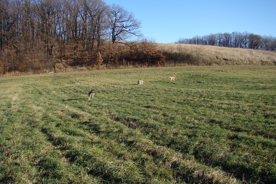 Kavečany 22.11.2008