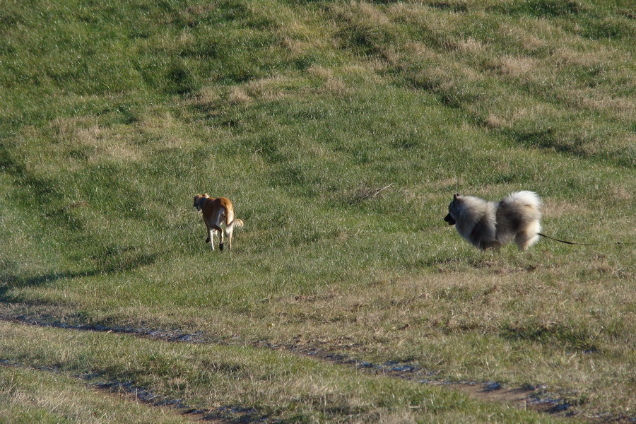 Kavečany 22.11.2008