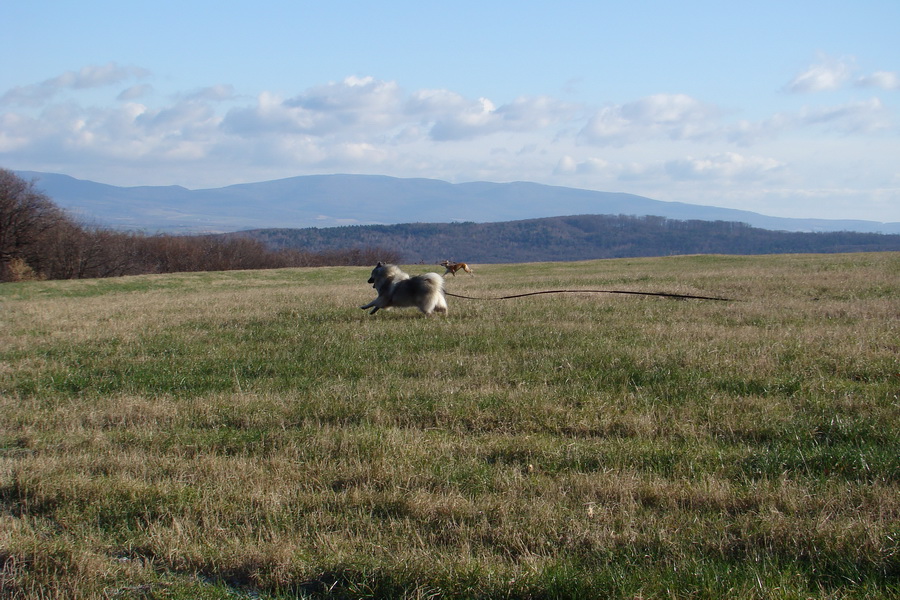 Kavečany 22.11.2008