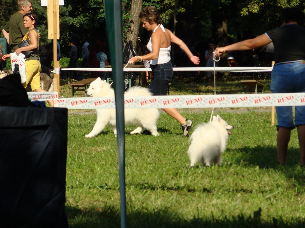 Národná výstava psov Košice, 13. 07. 2008