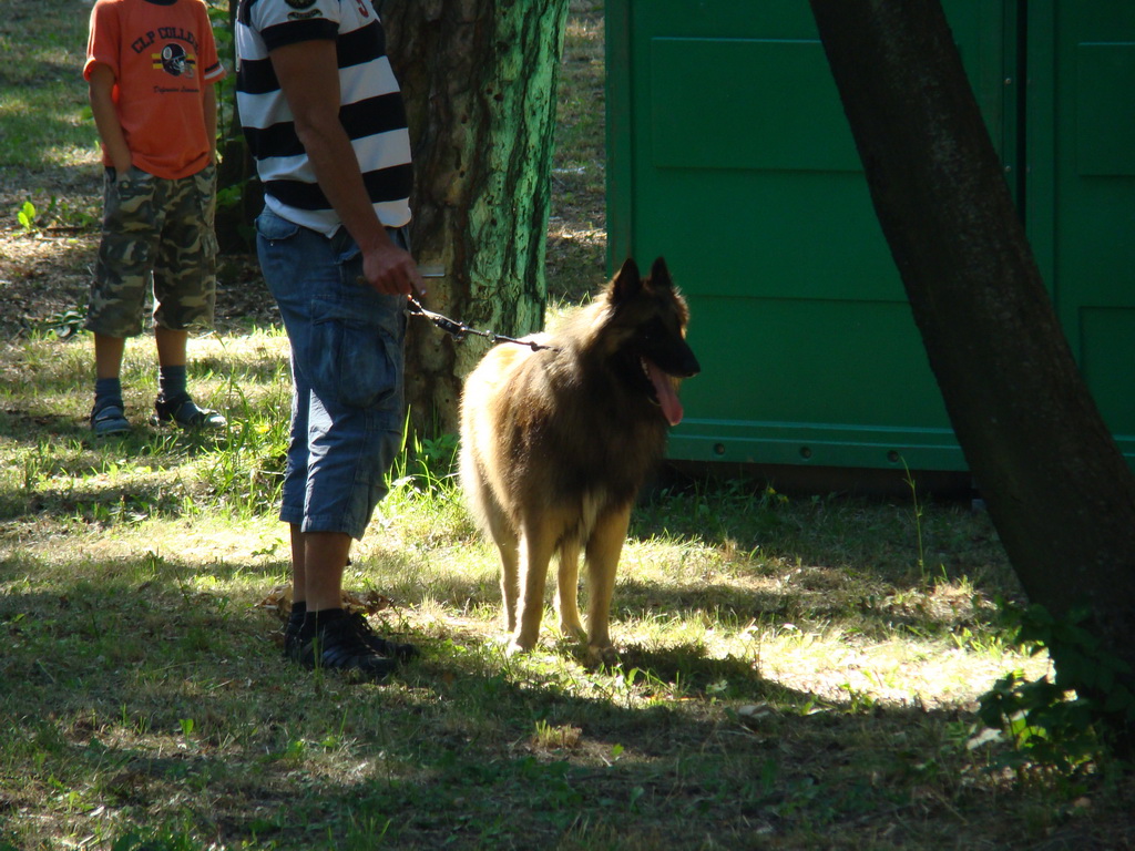 Národná výstava psov Košice, 13. 07. 2008