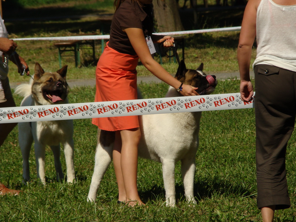 Národná výstava psov Košice, 13. 07. 2008