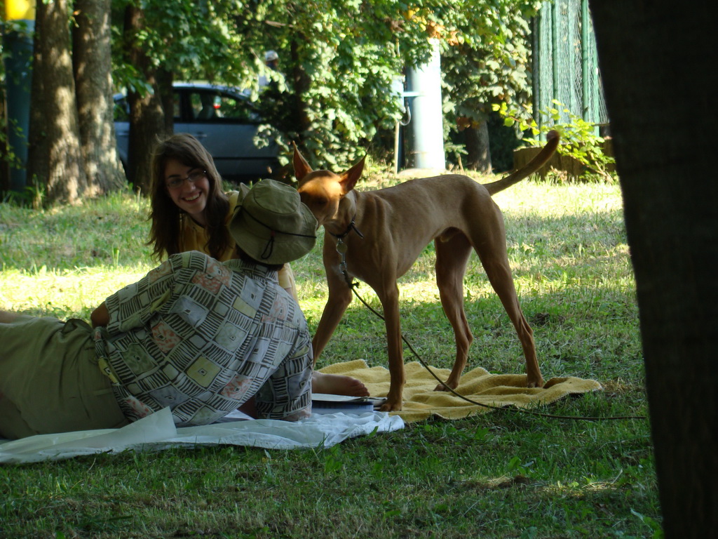 Národná výstava psov Košice, 13. 07. 2008