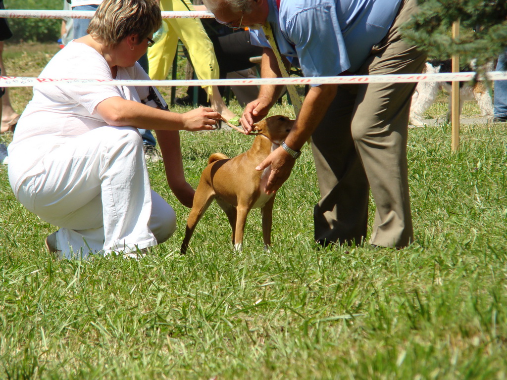 Národná výstava psov Košice, 13. 07. 2008