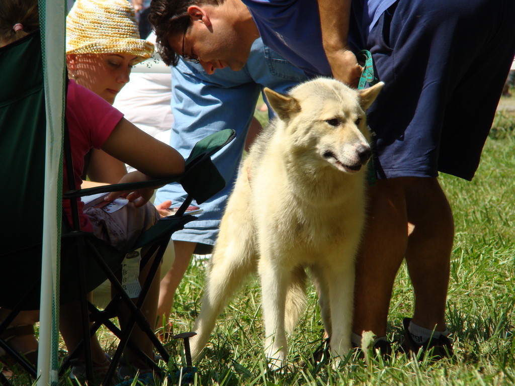 Národná výstava psov Košice, 13. 07. 2008