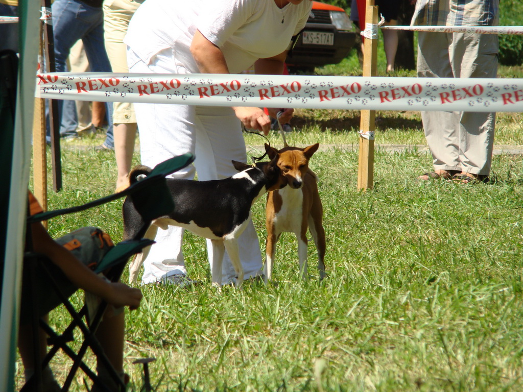 Národná výstava psov Košice, 13. 07. 2008