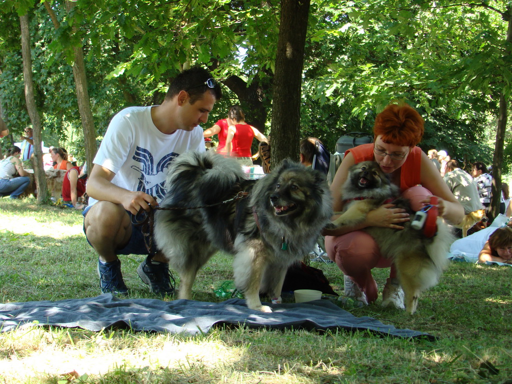 Národná výstava psov Košice, 13. 07. 2008