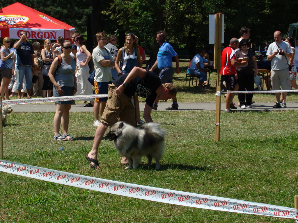 Národná výstava psov Košice, 13. 07. 2008