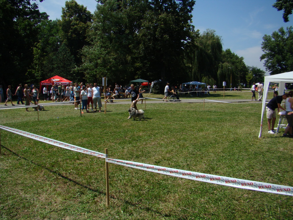 Národná výstava psov Košice, 13. 07. 2008