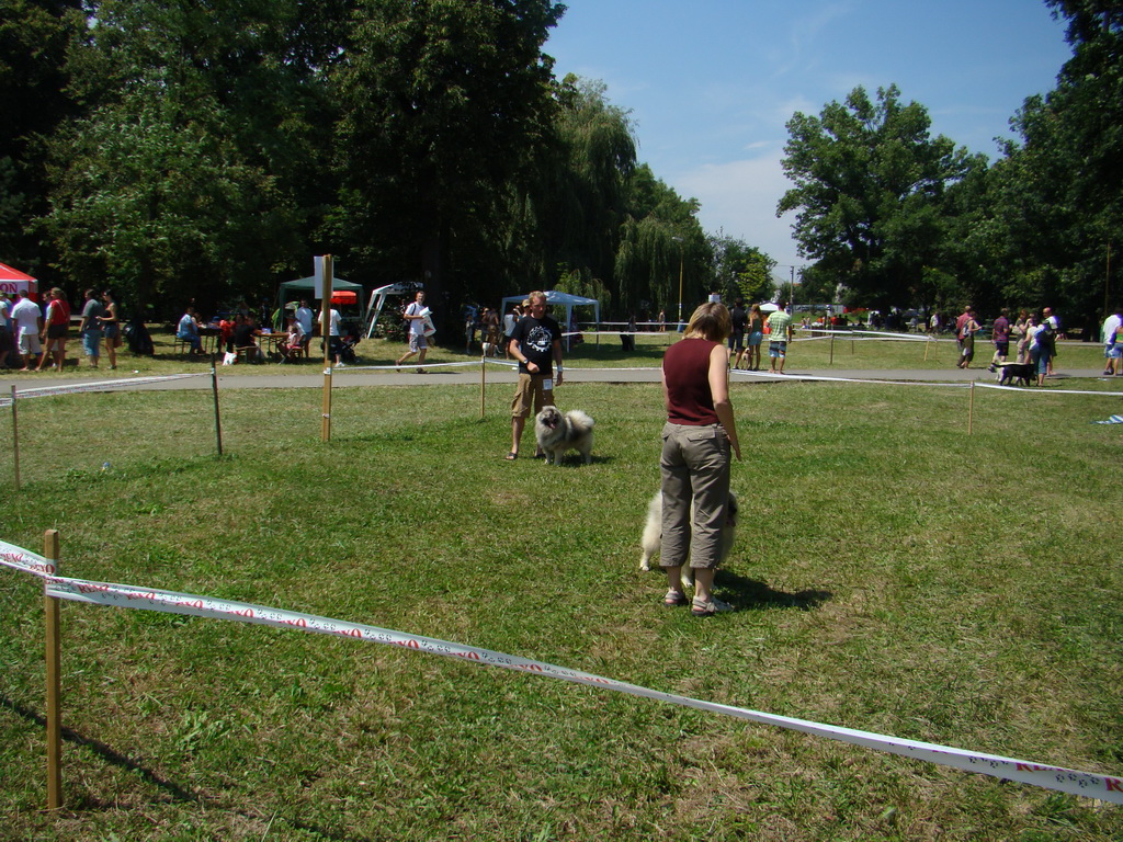 Národná výstava psov Košice, 13. 07. 2008