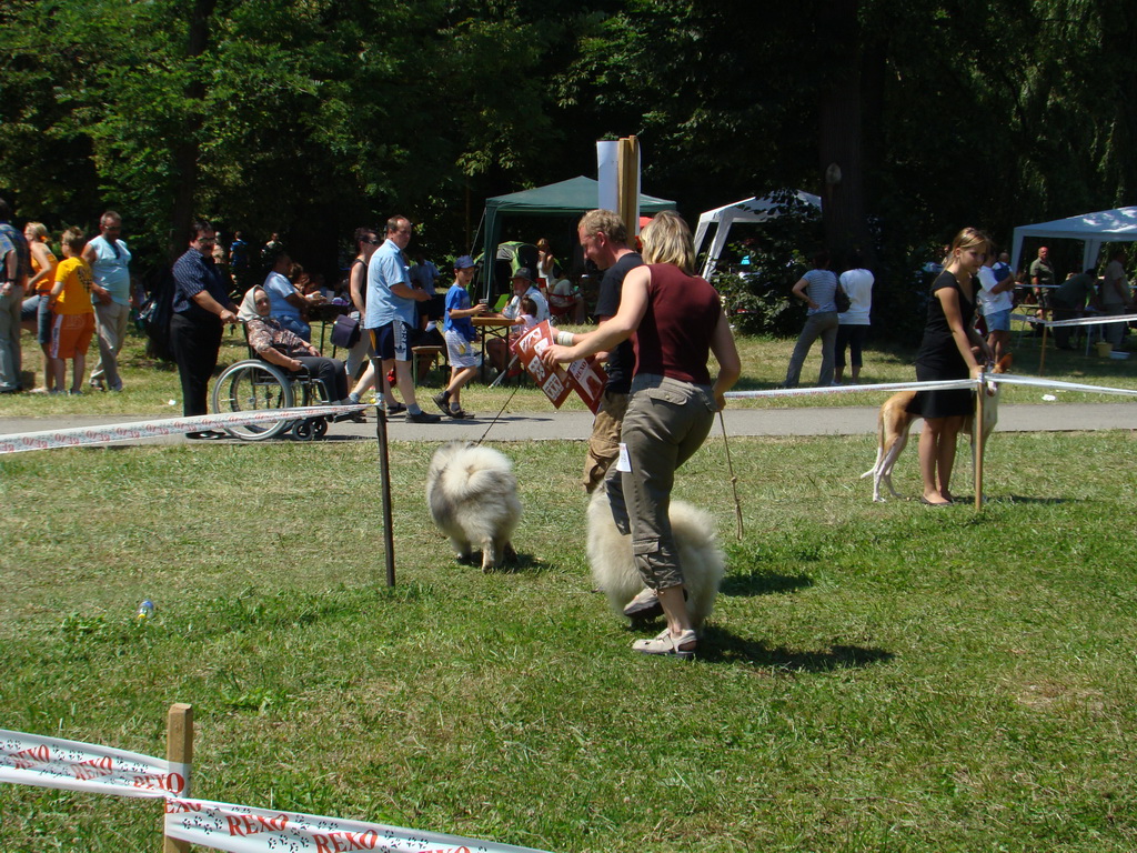 Národná výstava psov Košice, 13. 07. 2008