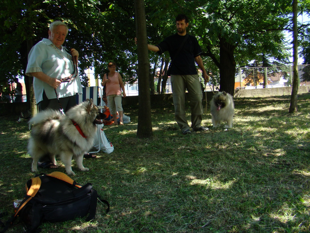 Národná výstava psov Košice, 13. 07. 2008